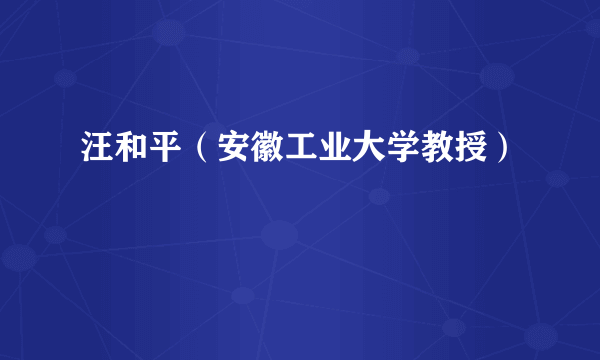 汪和平（安徽工业大学教授）