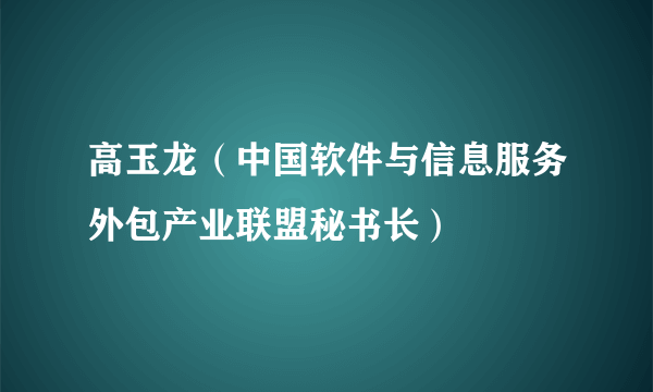 高玉龙（中国软件与信息服务外包产业联盟秘书长）