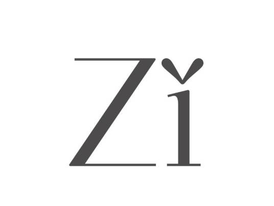 ZI