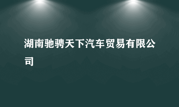 湖南驰骋天下汽车贸易有限公司