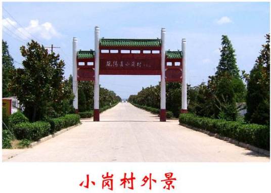 小岗村（贵州遵义习水县永安镇下辖村）