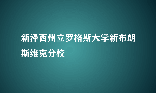 新泽西州立罗格斯大学新布朗斯维克分校