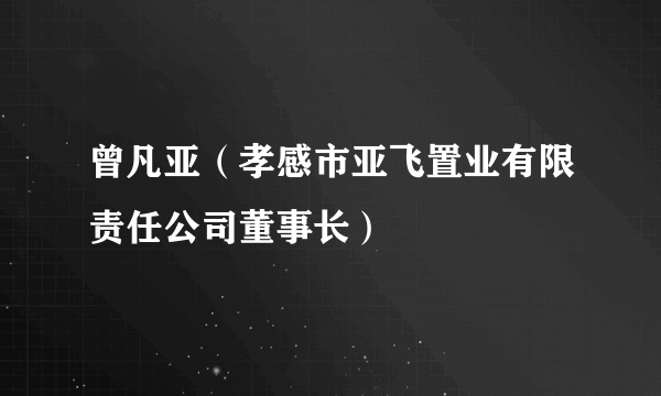 曾凡亚（孝感市亚飞置业有限责任公司董事长）