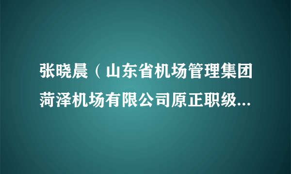 张晓晨（山东省机场管理集团菏泽机场有限公司原正职级调研员）