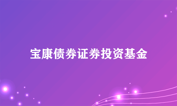 宝康债券证券投资基金