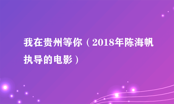 我在贵州等你（2018年陈海帆执导的电影）