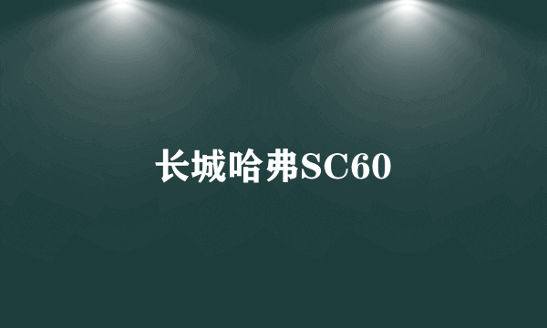 长城哈弗SC60