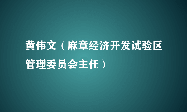 黄伟文（麻章经济开发试验区管理委员会主任）