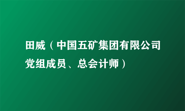 田威（中国五矿集团有限公司党组成员、总会计师）