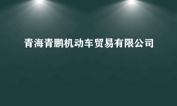 青海青鹏机动车贸易有限公司