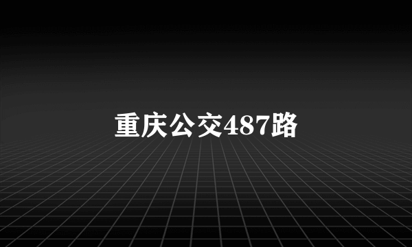 重庆公交487路