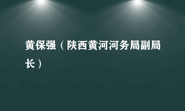 黄保强（陕西黄河河务局副局长）