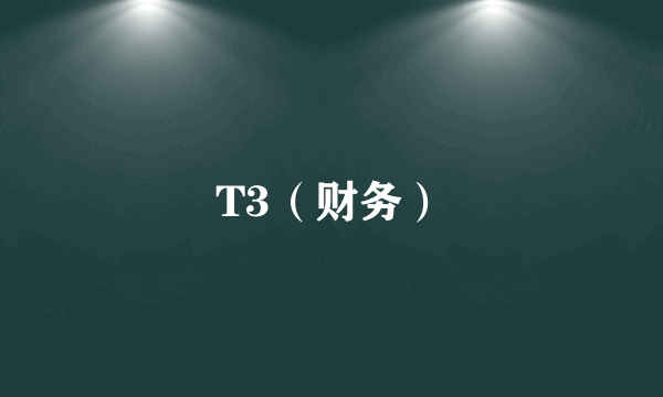 T3（财务）