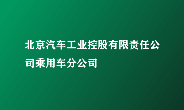 北京汽车工业控股有限责任公司乘用车分公司