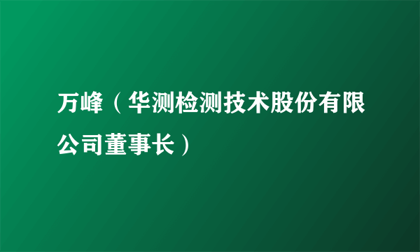 万峰（华测检测技术股份有限公司董事长）