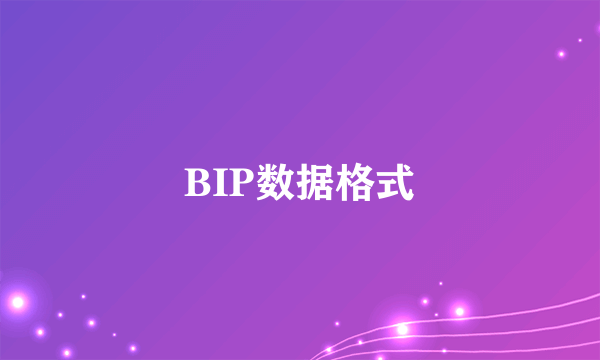 BIP数据格式