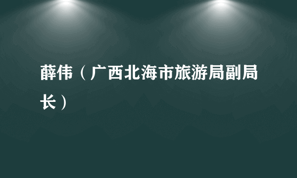 薛伟（广西北海市旅游局副局长）