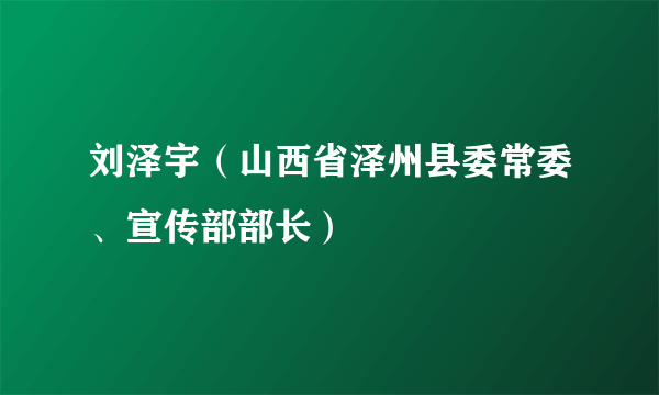 刘泽宇（山西省泽州县委常委、宣传部部长）