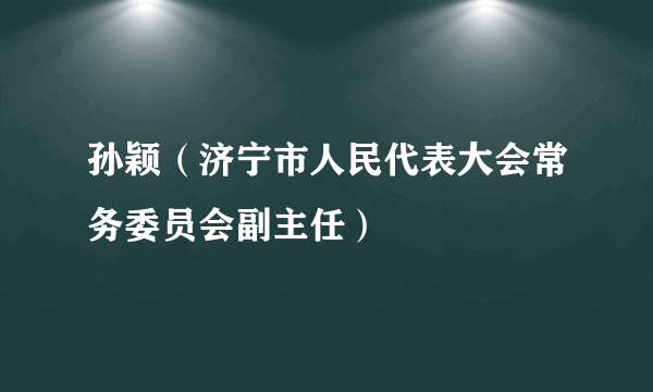 孙颖（济宁市人民代表大会常务委员会副主任）