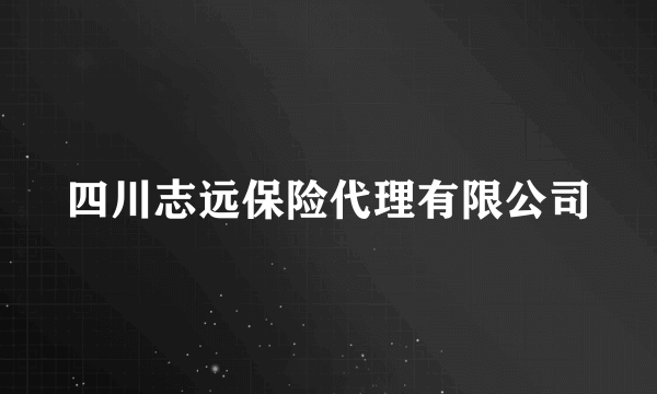 四川志远保险代理有限公司