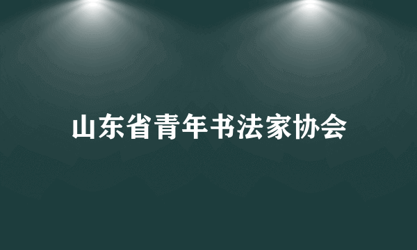 山东省青年书法家协会