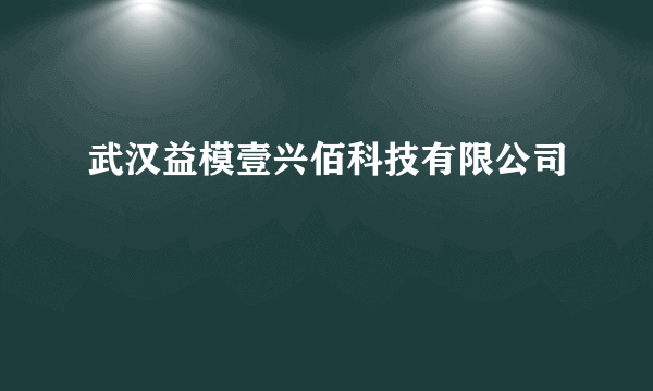 武汉益模壹兴佰科技有限公司