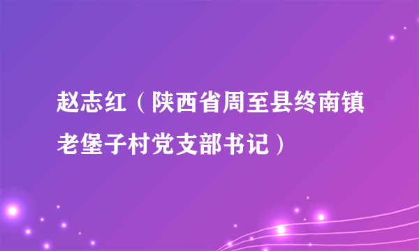 赵志红（陕西省周至县终南镇老堡子村党支部书记）