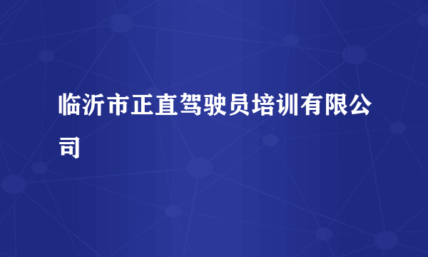 临沂市正直驾驶员培训有限公司