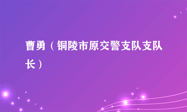 曹勇（铜陵市原交警支队支队长）