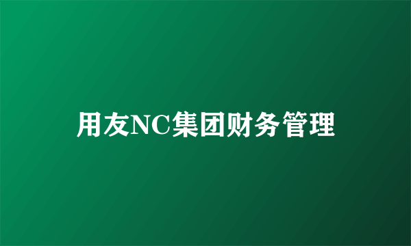 用友NC集团财务管理