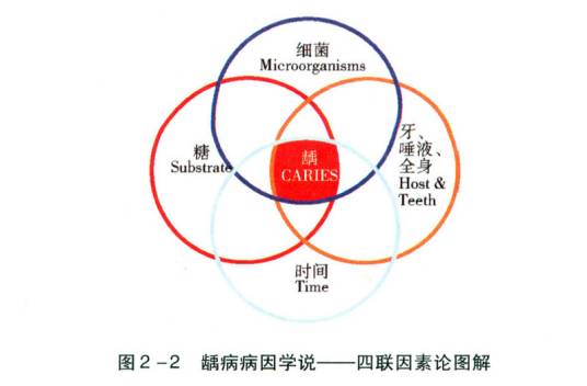 病因学说