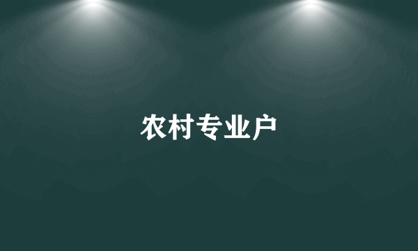 农村专业户