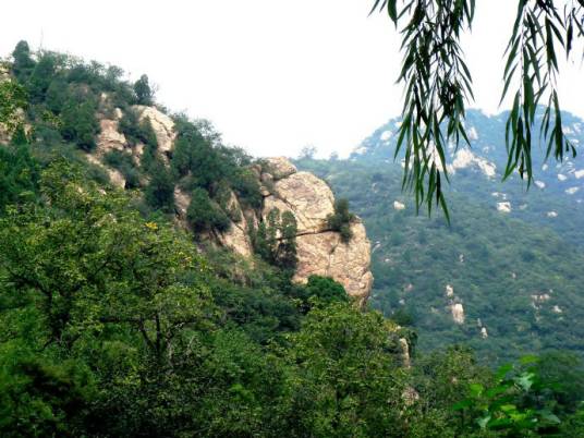 东王庄村（北京市延庆县大庄科乡东王庄村）