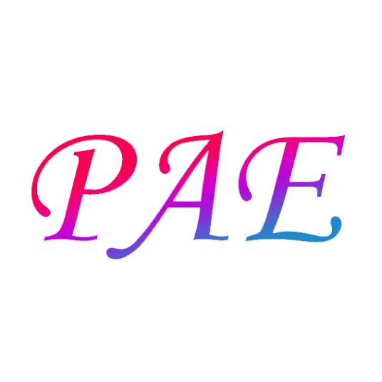 PAE（品牌）