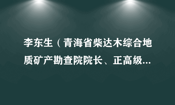 李东生（青海省柴达木综合地质矿产勘查院院长、正高级工程师（教授级））