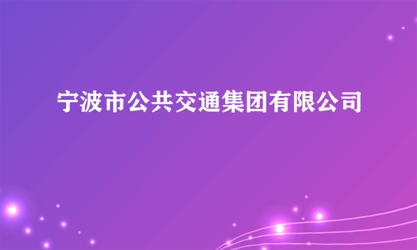 宁波市公共交通集团有限公司