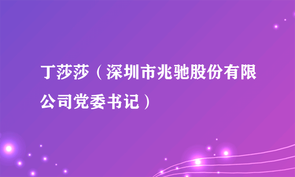 丁莎莎（深圳市兆驰股份有限公司党委书记）