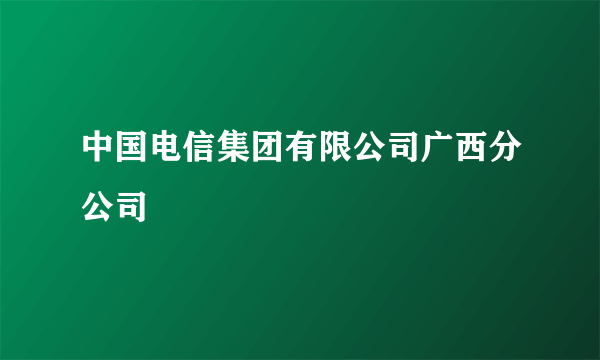 中国电信集团有限公司广西分公司