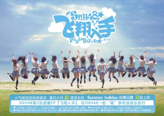 飞翔入手（SNH48演唱歌曲）