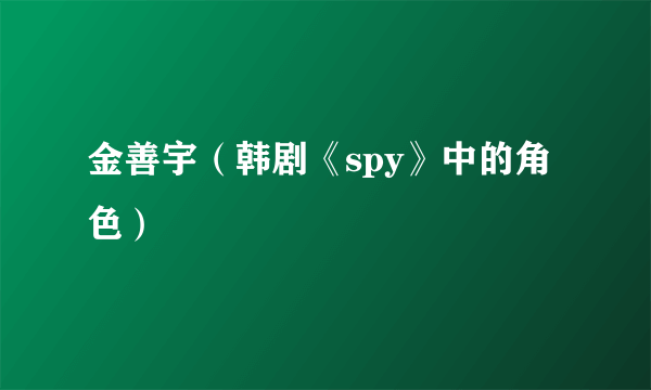 金善宇（韩剧《spy》中的角色）