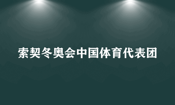 索契冬奥会中国体育代表团