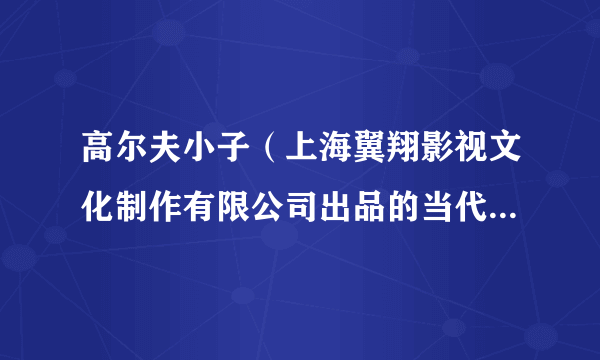 高尔夫小子（上海翼翔影视文化制作有限公司出品的当代都市类电视剧）