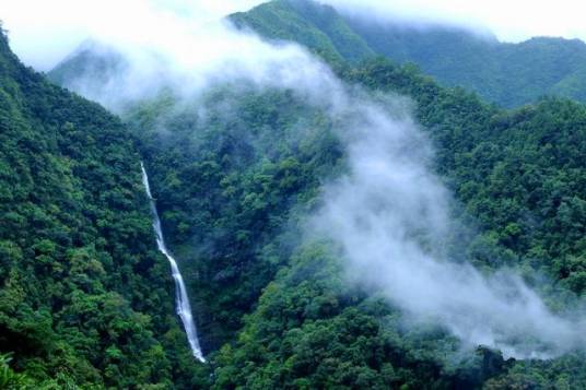 广西十万大山国家森林公园