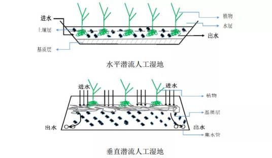 人工湿地技术