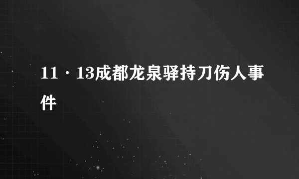 11·13成都龙泉驿持刀伤人事件