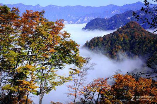 光雾山自然风景区