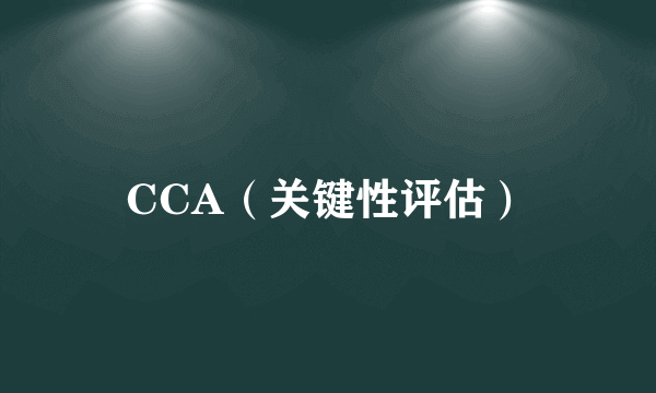 CCA（关键性评估）