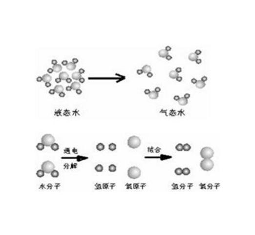 分子和原子（化学术语）