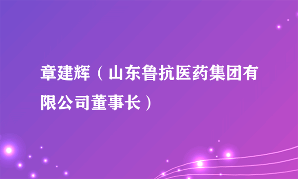 章建辉（山东鲁抗医药集团有限公司董事长）