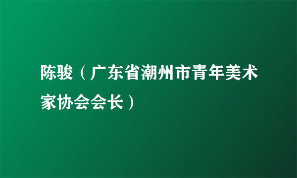 陈骏（广东省潮州市青年美术家协会会长）